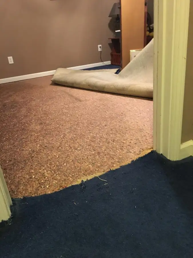 Carpet pad removal revealing water damage during Drying & Dehumidification in South Barrington