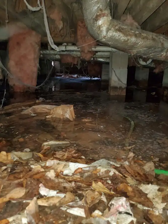 Crawl space flood assessment for Leak Detection & Repair in South Barrington
